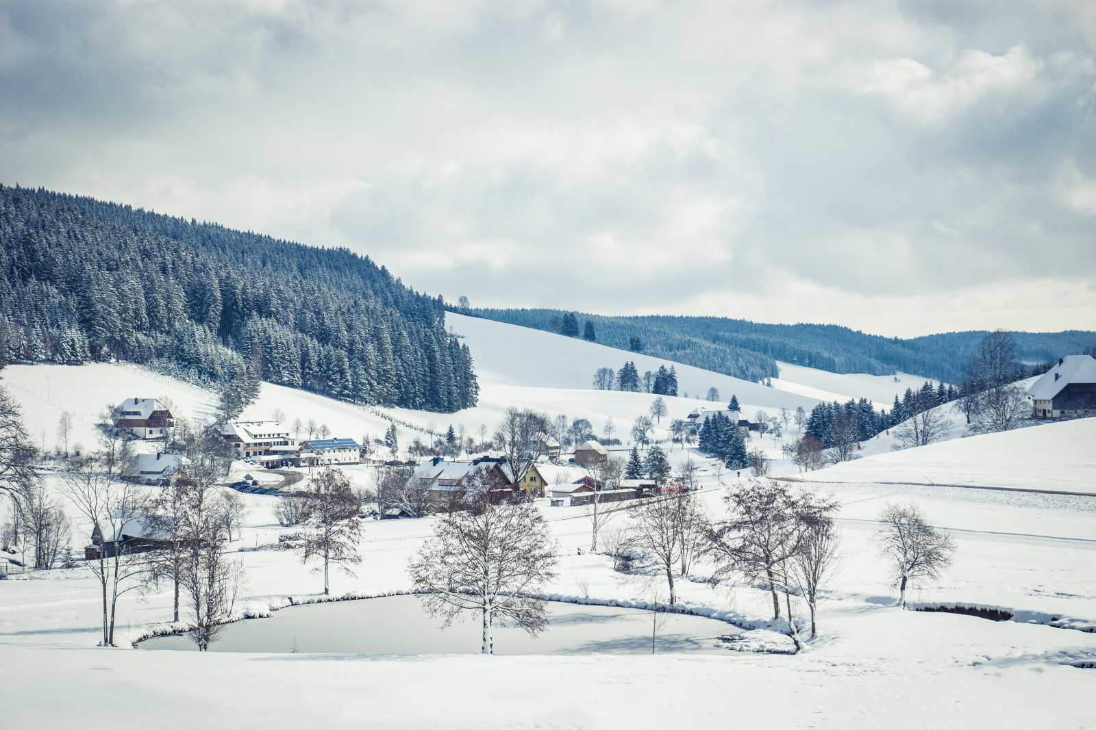 Langlaufen bei Waldau im Schwarzwald