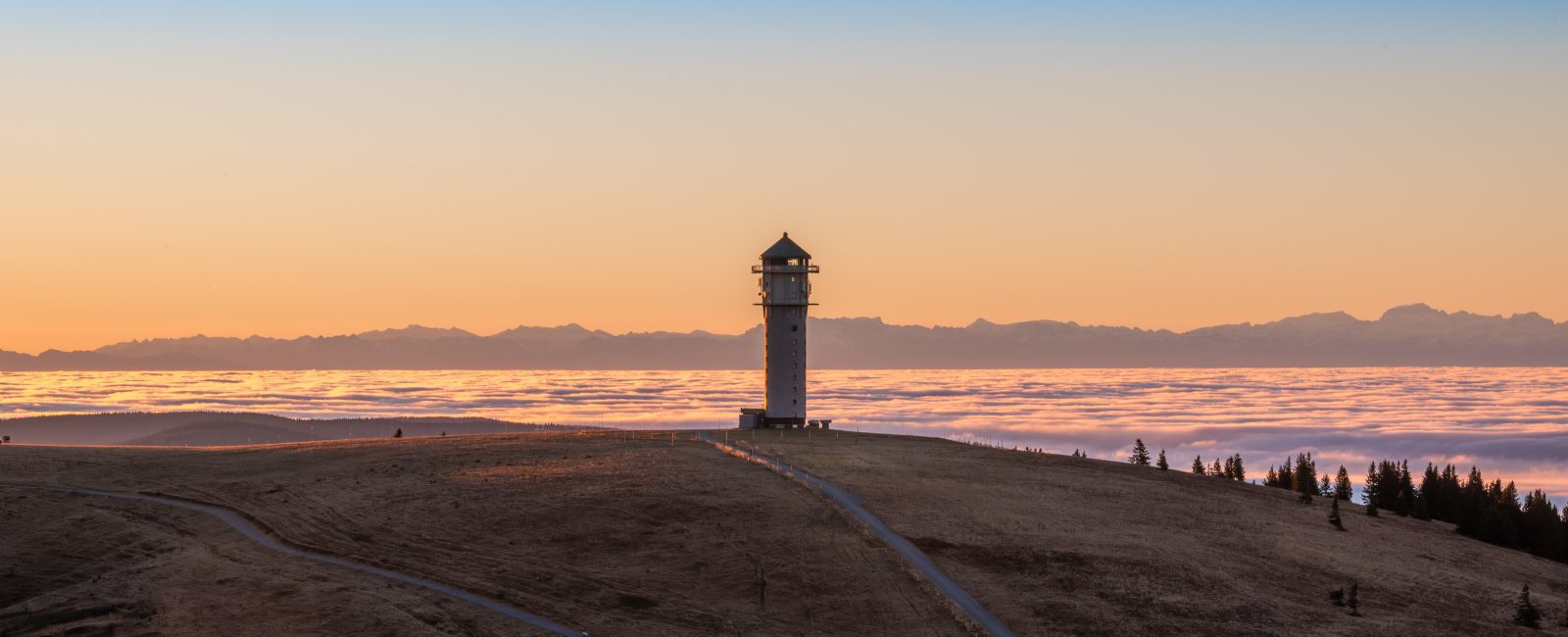 Naturschutzgebiet Feldberg