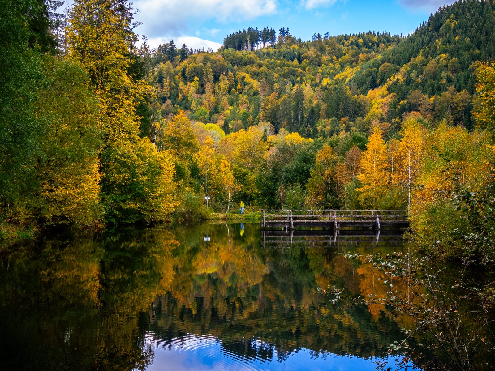 Wandern im Schwarzwald