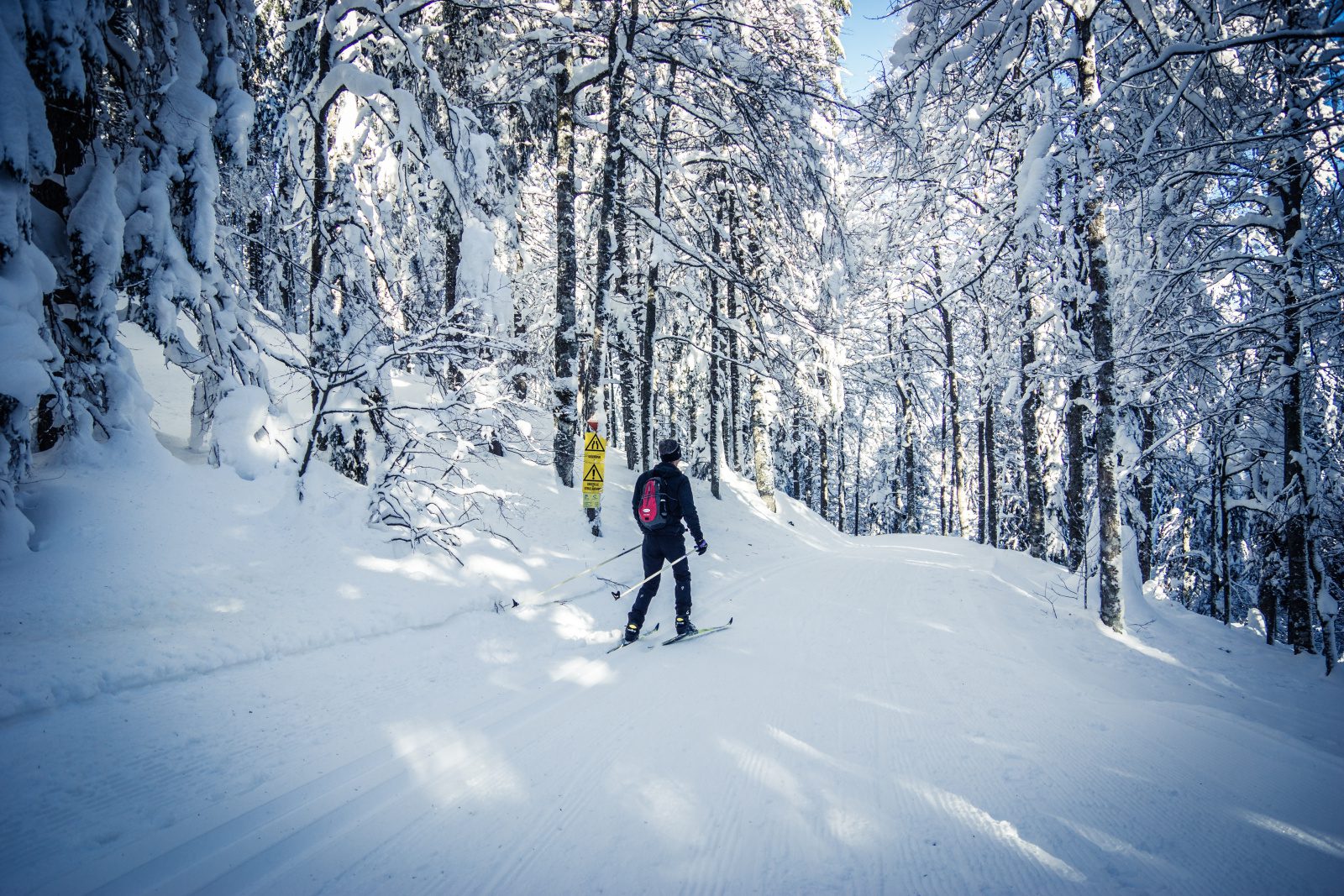 Langlaufen bei Waldau im Schwarzwald